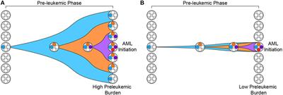 Preleukemic Hematopoietic Stem Cells in Human Acute Myeloid Leukemia